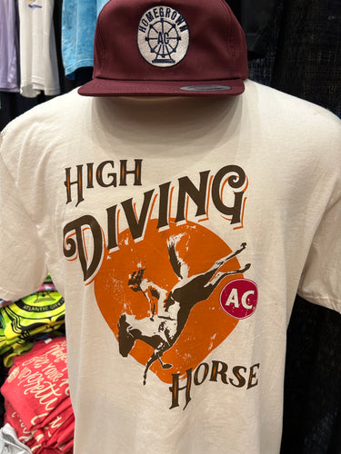 Diving Horse T